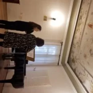 ７０～のうたの会「ばばばの会」のサムネイル