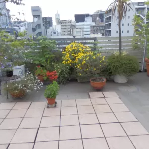 初夏のベランダのサムネイル