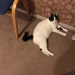テストのサムネイル