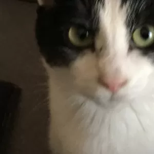 写真練習のサムネイル