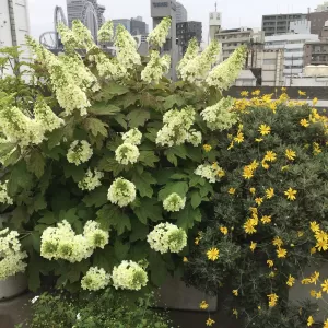 写真練習のサムネイル